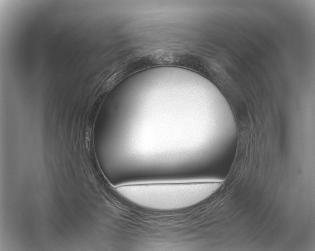 X0000059230125200510140837