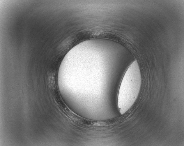 X0000059230127200510140837