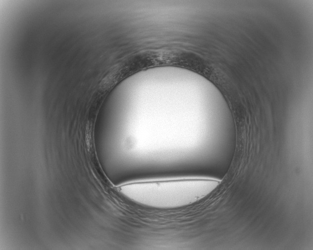 X0000059230129200510140837