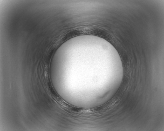 X0000059230131200510140837