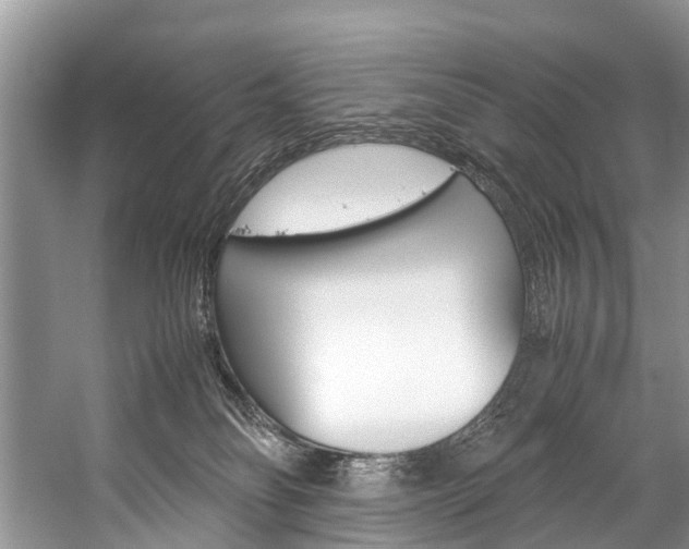 X0000059230134200510140836