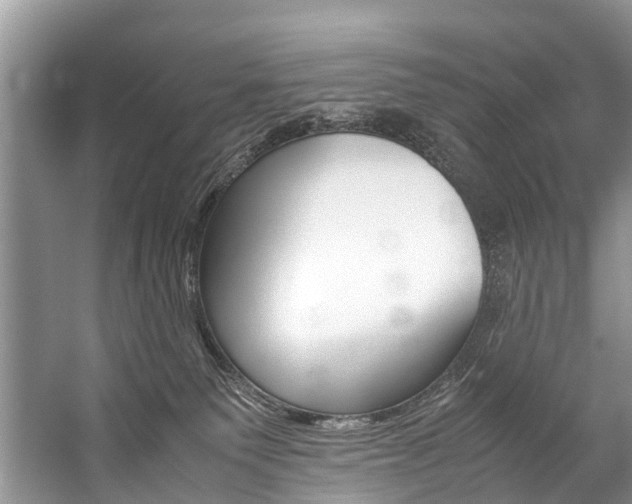 X0000059230135200510140836