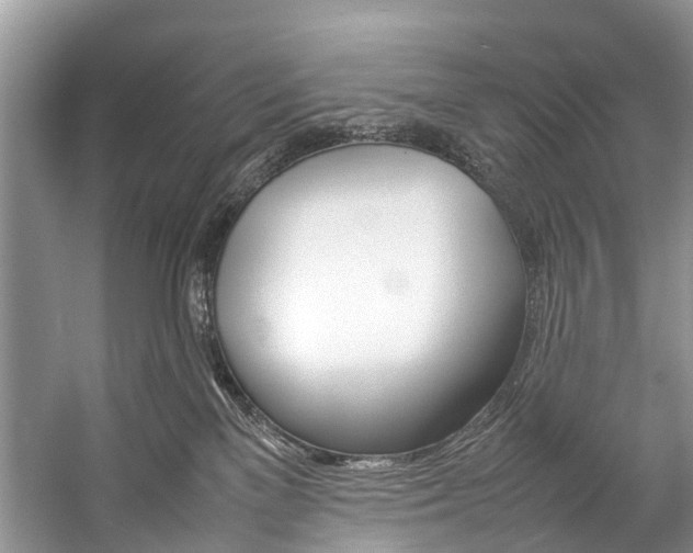 X0000059230137200510140836