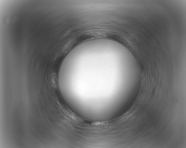 X0000059230141200510140836