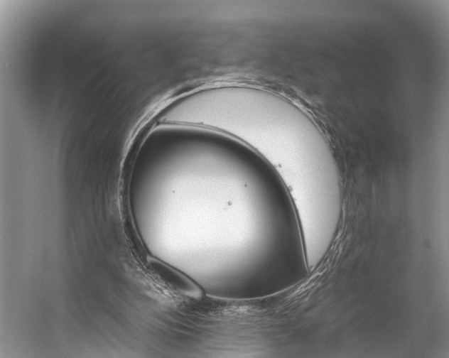 X0000059230152200510140836