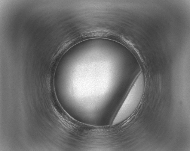 X0000059230154200510140836