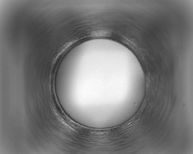 X0000059230155200510140836