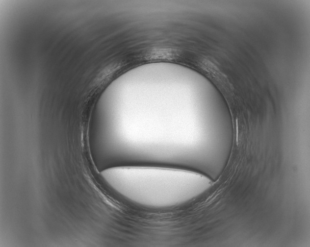 X0000059230157200510140836
