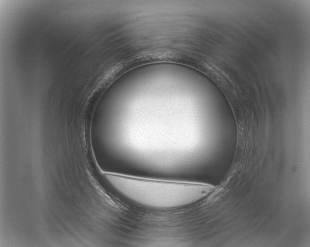 X0000059230158200510140836