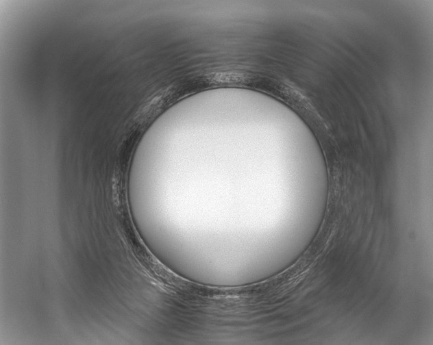 X0000059230161200510140836