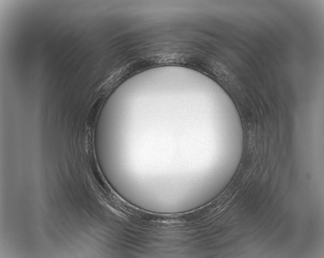 X0000059230165200510140836