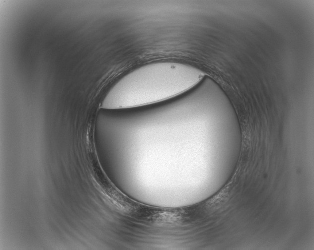 X0000059230166200510140836