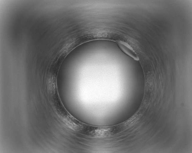 X0000059230172200510140836