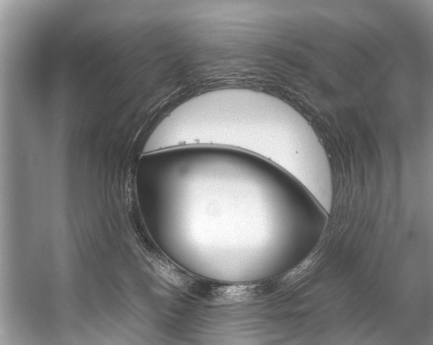 X0000059230184200510140836