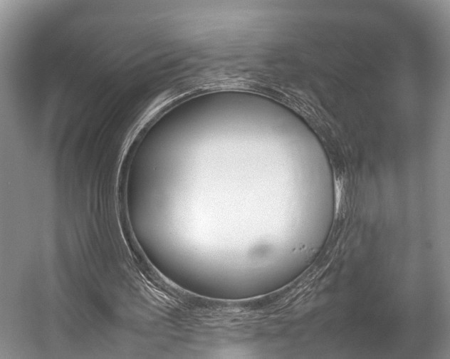 X0000059230195200510140835