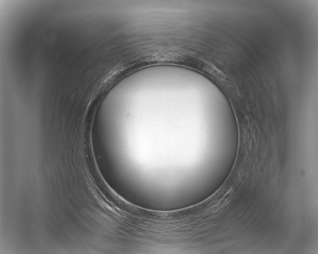 X0000059230203200510140835
