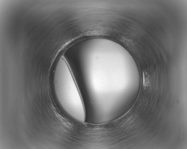 X0000059230204200510140835