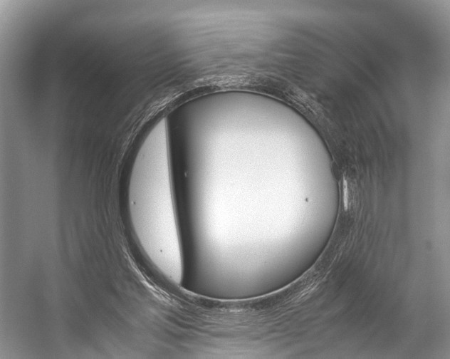 X0000059230205200510140835