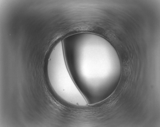 X0000059230207200510140835