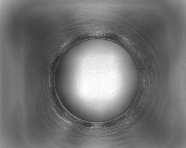 X0000059230211200510140835
