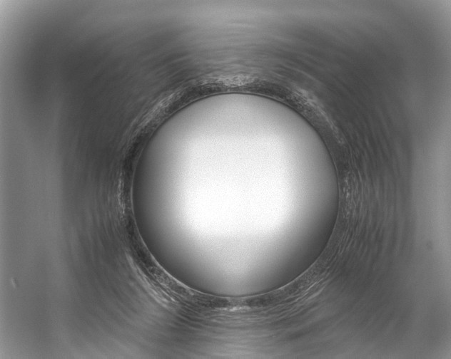 X0000059230212200510140835