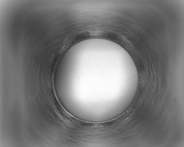 X0000059230213200510140835