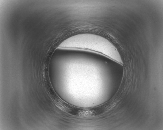 X0000059230217200510140835