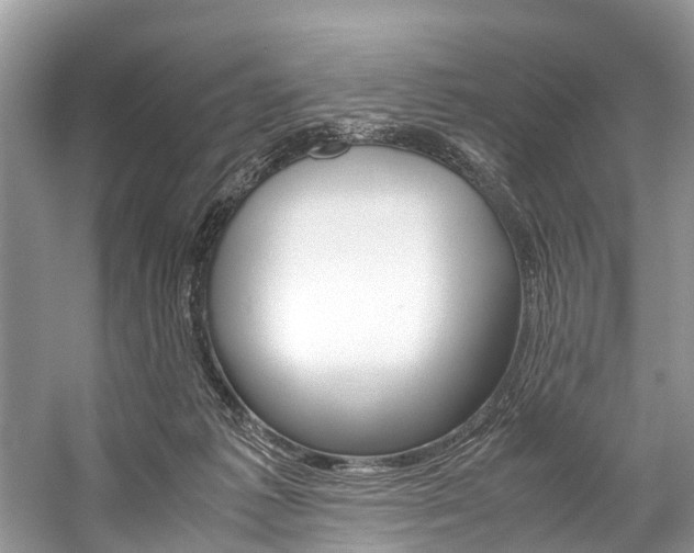 X0000059230221200510140835