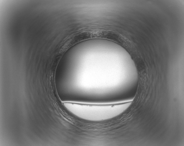 X0000059230225200510140835