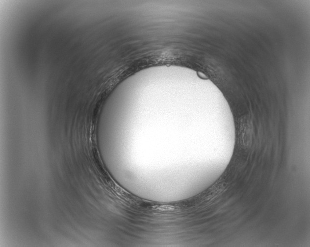 X0000059230230200510140835