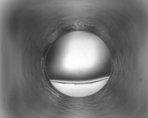 X0000059230233200510140835