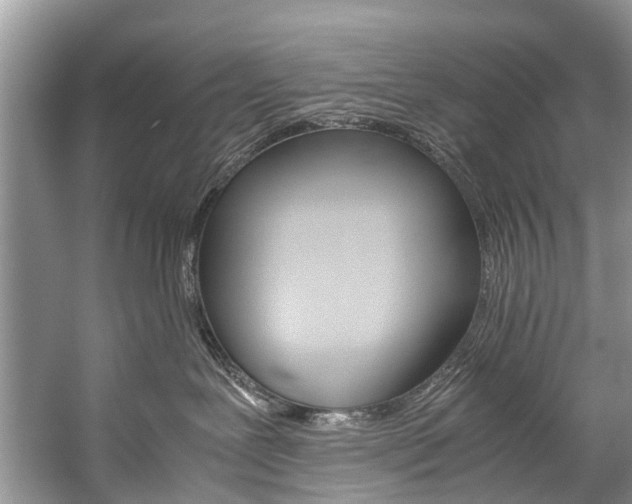 X0000059230239200510140835
