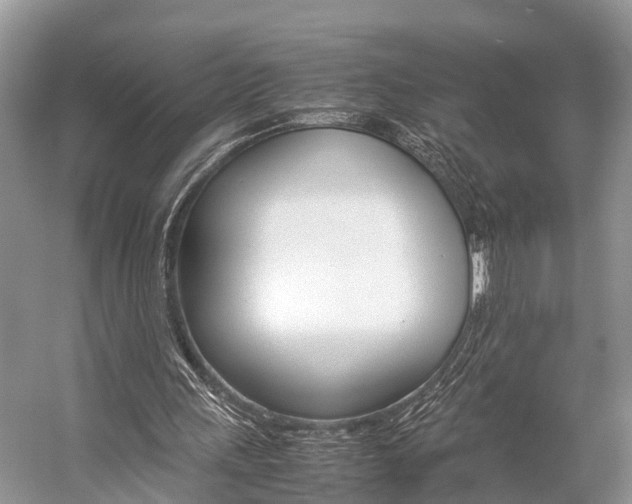 X0000059230243200510140834