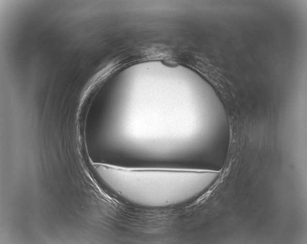 X0000059230245200510140834