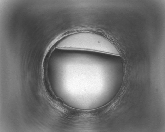 X0000059230246200510140834