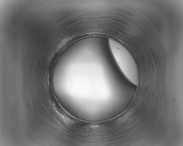 X0000059230253200510140834