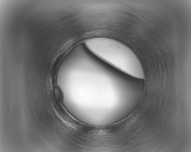 X0000059230254200510140834