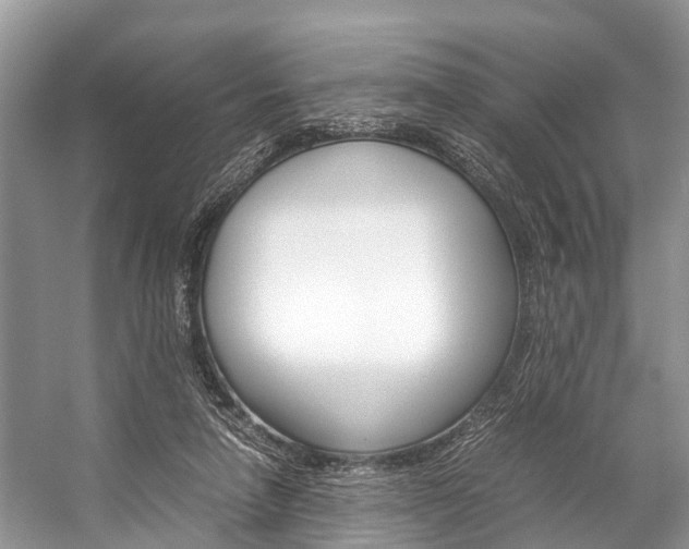 X0000059230258200510140834