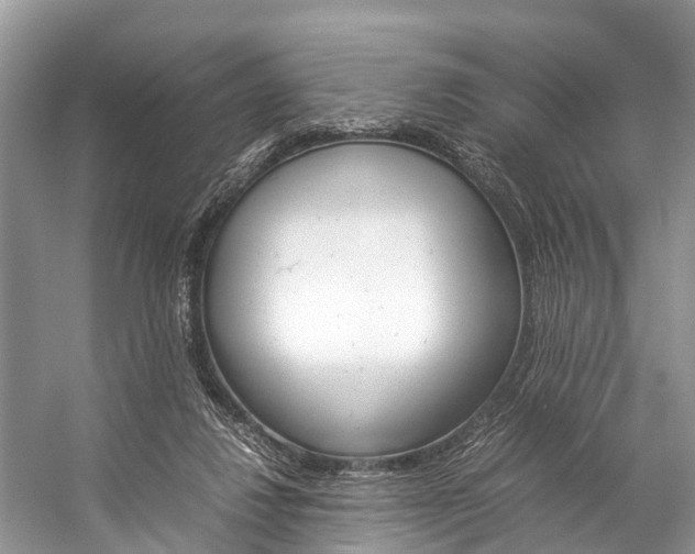 X0000059230260200510140834