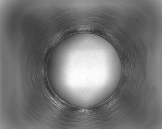 X0000059230261200510140834