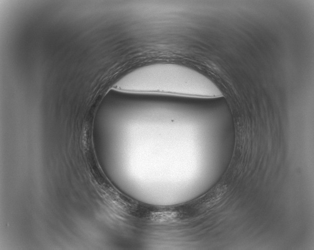 X0000059230266200510140834