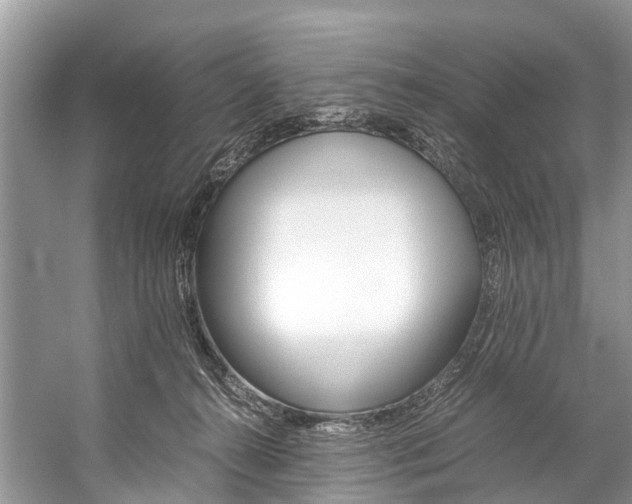X0000059230272200510140834