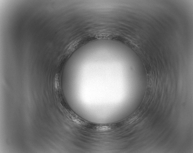 X0000059230287200510140835