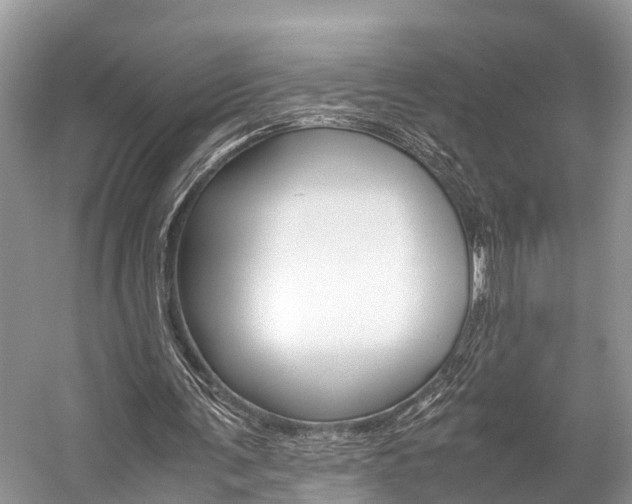 X0000059230291200510140834