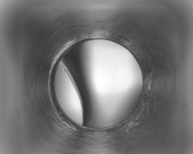 X0000059230292200510140834
