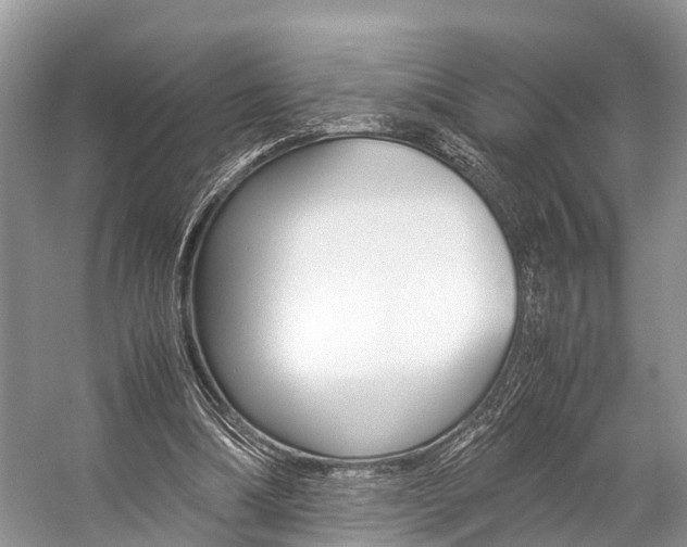 X0000059230298200510140834