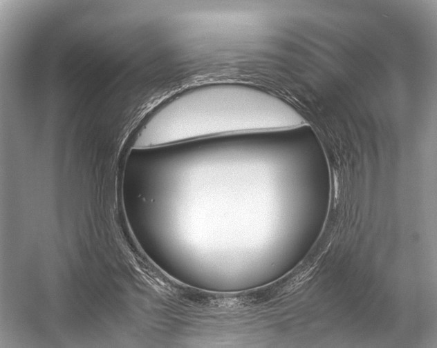 X0000059230301200510140834
