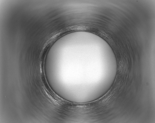 X0000059230302200510140834