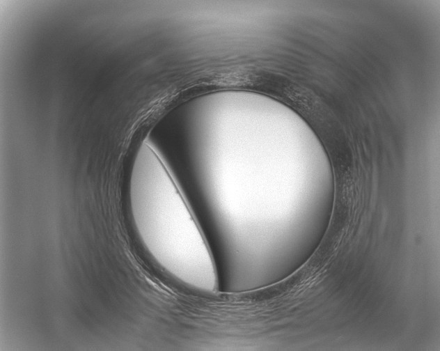 X0000059230303200510140833