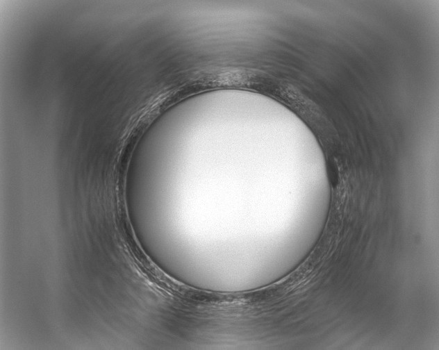 X0000059230306200510140833